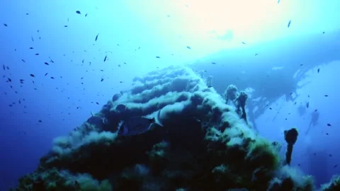 La Plataforma wreck dive site in Ses Salines Natural Park (Mediterranean Sea) Stock Footage 213353024
