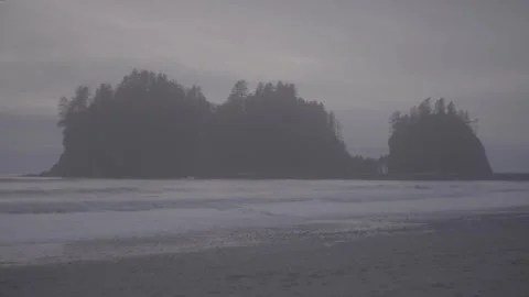 LA PUSH (LOG) Vídeos de archivo 304561912