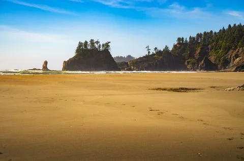 La Push Second Beach with sea stacks and forested cliffs, Washington State Stock Photos