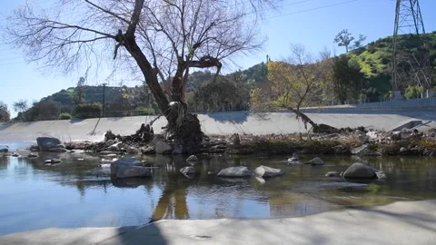 LA River Scenic 스톡 동영상 231699121
