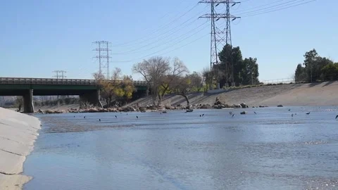 LA River Scenic 스톡 동영상 231699149
