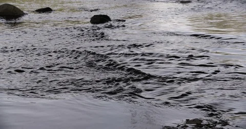 LA River Water Rushing 03 Stock Footage 90876732