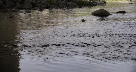 LA River Water Rushing 05 Stock Footage 90876761