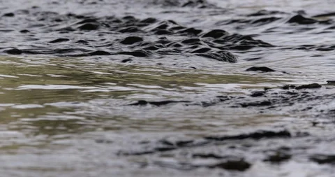 LA River Water Rushing 06 Stock Footage 90876769