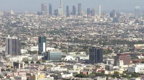 LA from Runyon Canyon HD Stock Footage