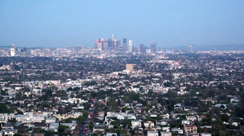 LA skyline with flock of birds Stock Footage 49343327