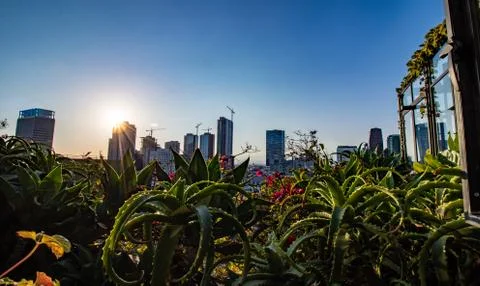 La skyline Stock Photos