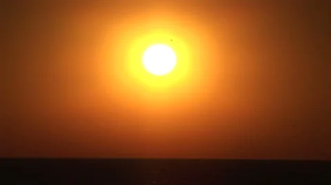 LA StaMonica-64a Video stock 1071859