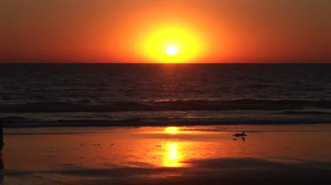 LA StaMonica-66d Stock Footage 1071879