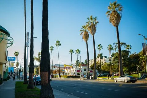 LA summer Foto stock