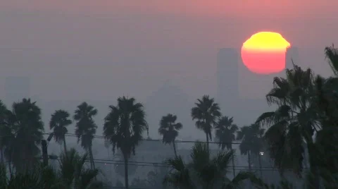 LA sunset handheld Stock Footage 654845