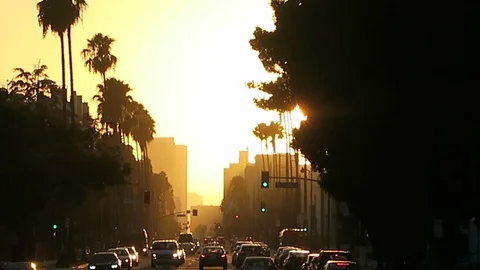 LA sunset Wislhire Blvd Stockbeeldmateriaal 97491382