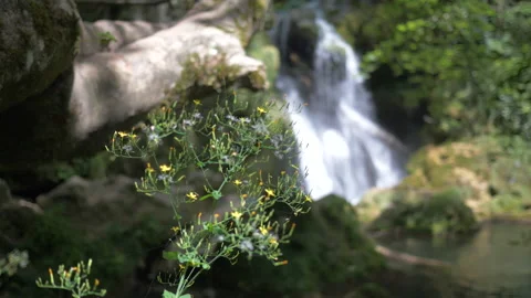 La Vaioaga Waterfall, Nera Gorges, Romania, 4K, focus pull Vídeo Stock 201415190