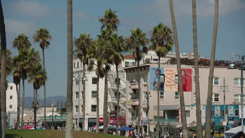 LA Venice Beach 19 Stock Footage 276919903