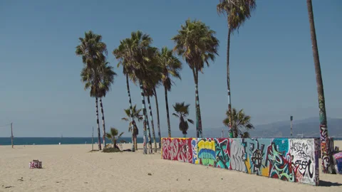 LA Venice Beach 28 Stock Footage 276919971