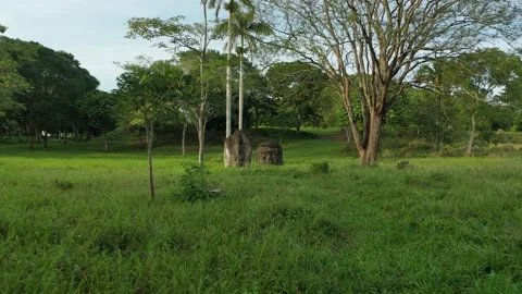 La Venta olmec Head and Statue Low Flight 4K Video stock 147419990
