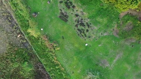 La Venta Olmec Site Drone Flying Directly Over Colossal Heads and Columns 4K Stock Footage 147426732