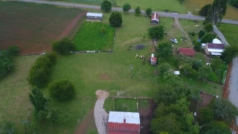 La vida en el campos de Puerto Montt, Chile Vidéo 125031553