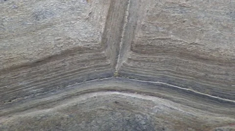 LA Zoo tortoise and shell close-up Video stock 47597295