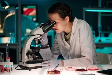 Lab Assistant Analyzing Meat Under Microscope Lens Stock Photos
