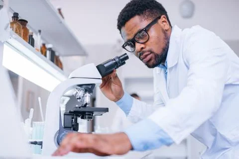 Lab assistant checking micro organisms through the microscope. Stock Photos