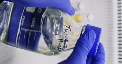 Lab assistant closes cap of bottle containing prepared solution Vídeos de archivo 310314520