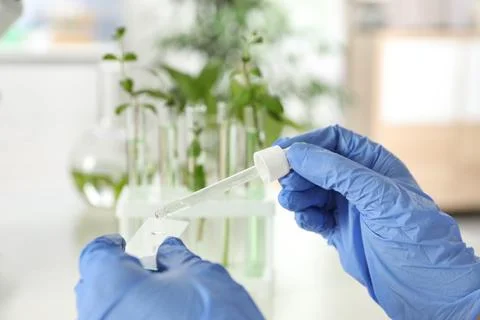 Lab assistant dropping liquid on microscope slide against blurred background, Stock Photos