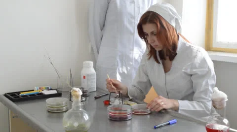Lab assistant Stock-Footage 23120537