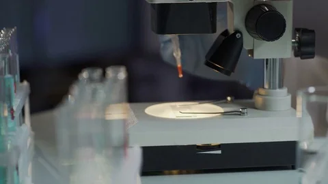 Lab assistant looking for antibodies in blood, test on HIV infection, analysis Stock Footage 73950448