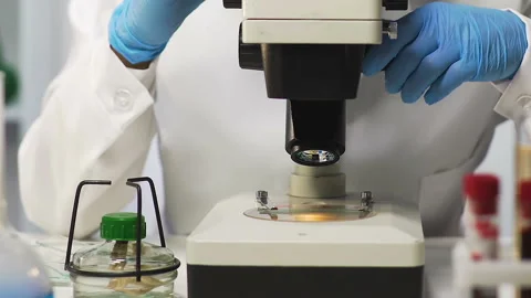 Lab assistant observing blood under microscope, genetic research, dna testing Video stock 87148187