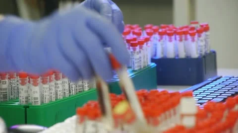 Lab Assistant sorting test tubes with analysis. Stock-Footage 12363378