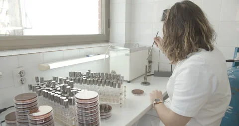 Lab assistant using laboratory equipment, microbiology test of water sample Stock Footage 135808158