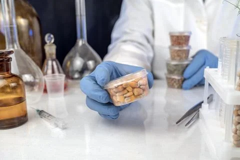 Lab assistant at work. Analysis of cereal and legume seeds in the laborator.. Stock Photos
