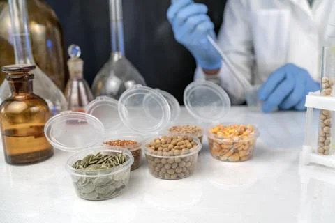Lab assistant at work. Analysis of cereal and legume seeds in the laborator.. Stock Photos