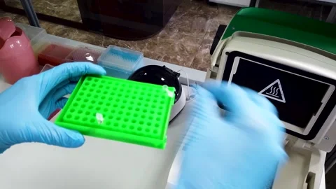 Lab assistant works with test tube in researching laboratory close view. Stock Footage 219625355