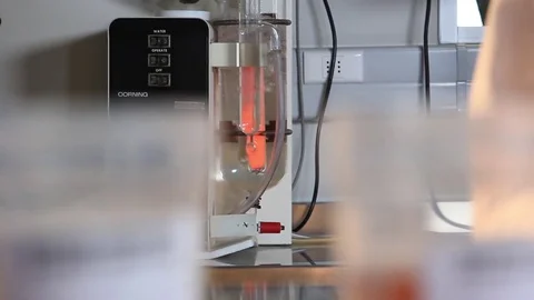 Lab beakers and droppers Stock Footage 77046799