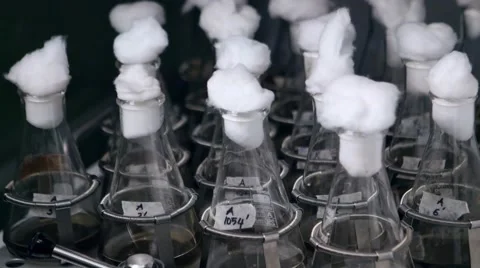 Lab bottles shaking liquid tissue microbial culture at shaker, incubator Stock Footage 68148034