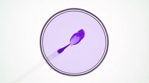 Lab dropper injects violet liquid into pale one in petri dish Stock Footage 171890423