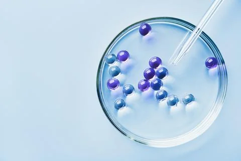 Lab dropper with sample of gel bubbles in petri dish on blue background, hard Stock Photos