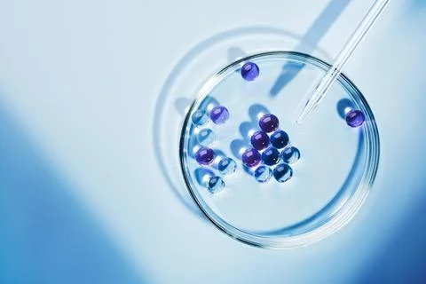 Lab dropper with sample of gel bubbles in petri dish on blue background, hard Stock Photos