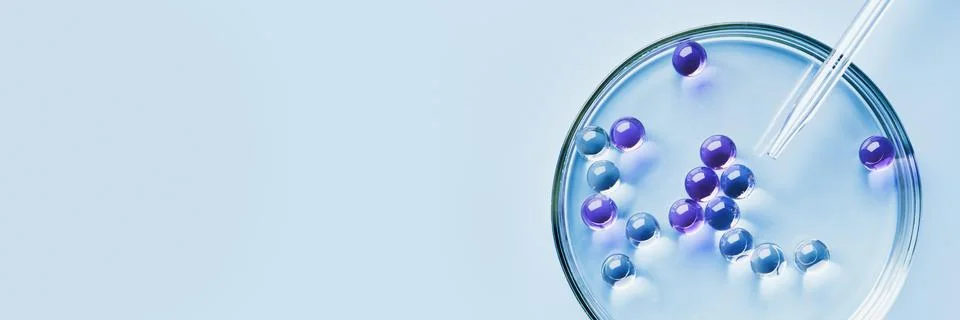 Lab dropper with sample of gel bubbles in petri dish on blue banner, hard Stock Photos