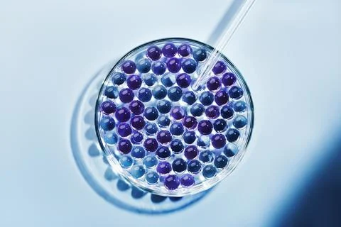 Lab dropper with sample of gel bubbles in petri dish on blue background, hard Stock Photos