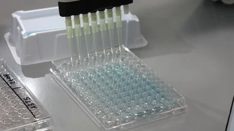 Lab experiment with 96 well micro plate Stock Footage 87516727