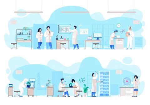 Lab Experiment, Scientists and Scientific Research Stock Illustration