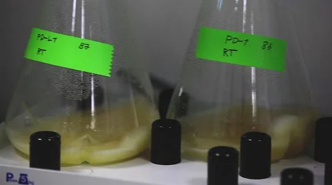 Lab experimenting with chemicals. close up Stock Footage 53063985