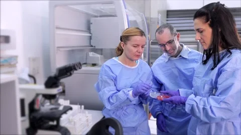 Lab Stock Footage 233345552