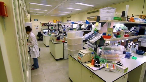 Lab footage Stock Footage 89568811