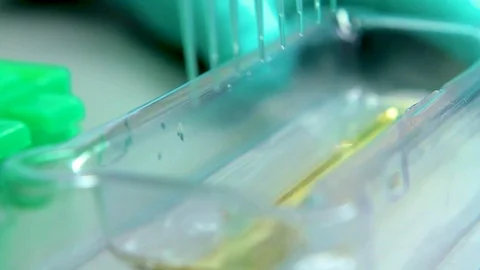 Lab footage Stock Footage 89574417
