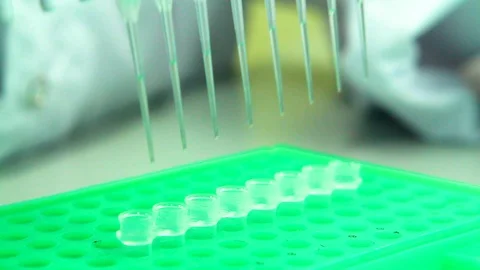 Lab footage Stock Footage 89574431