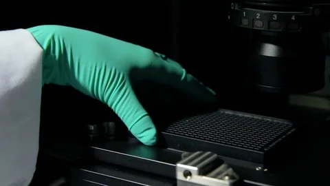 Lab footage Stock Footage 89574478